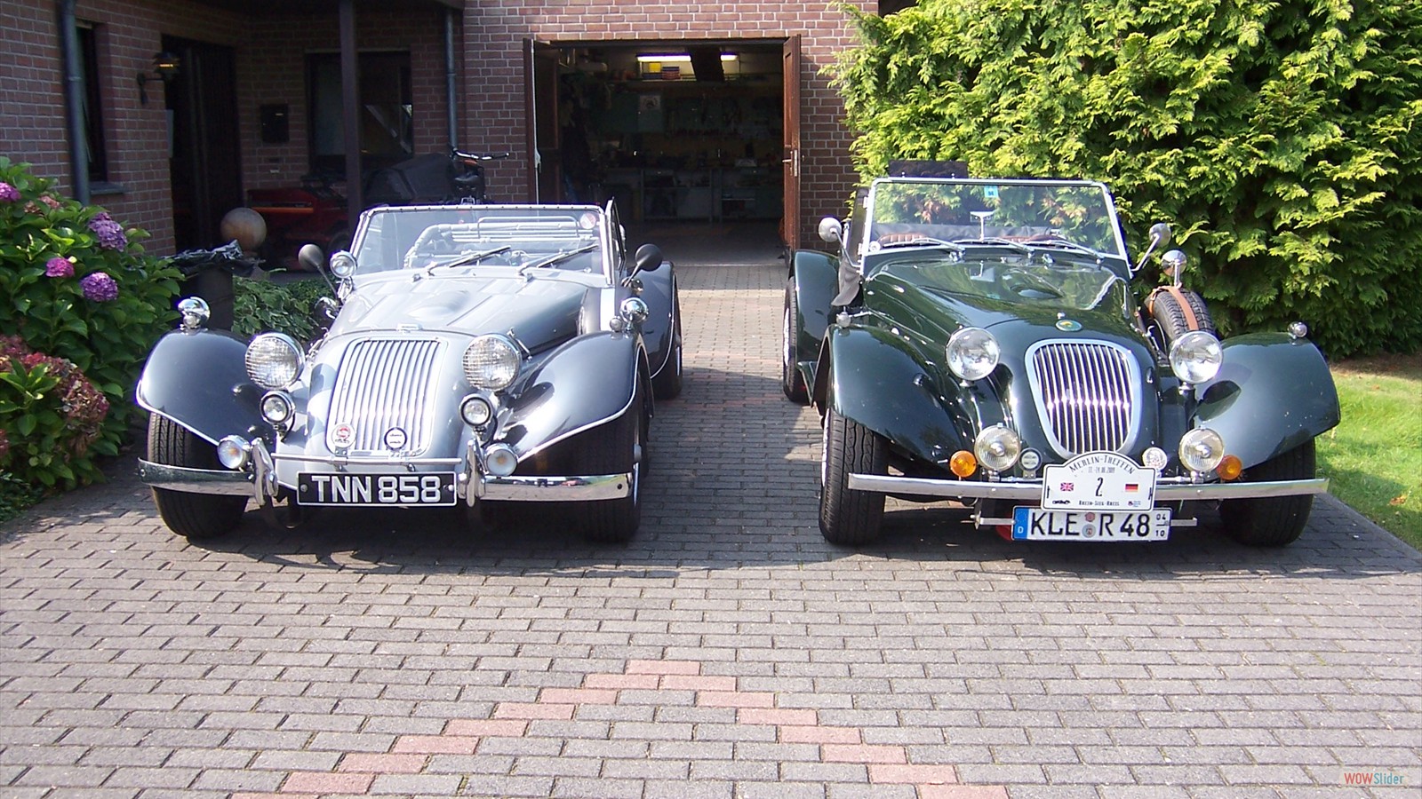 Merlin Plus 2 und Beetle