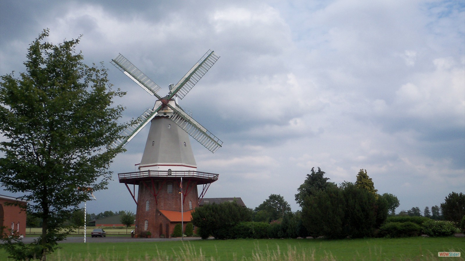 Merlins in Bremen 2011