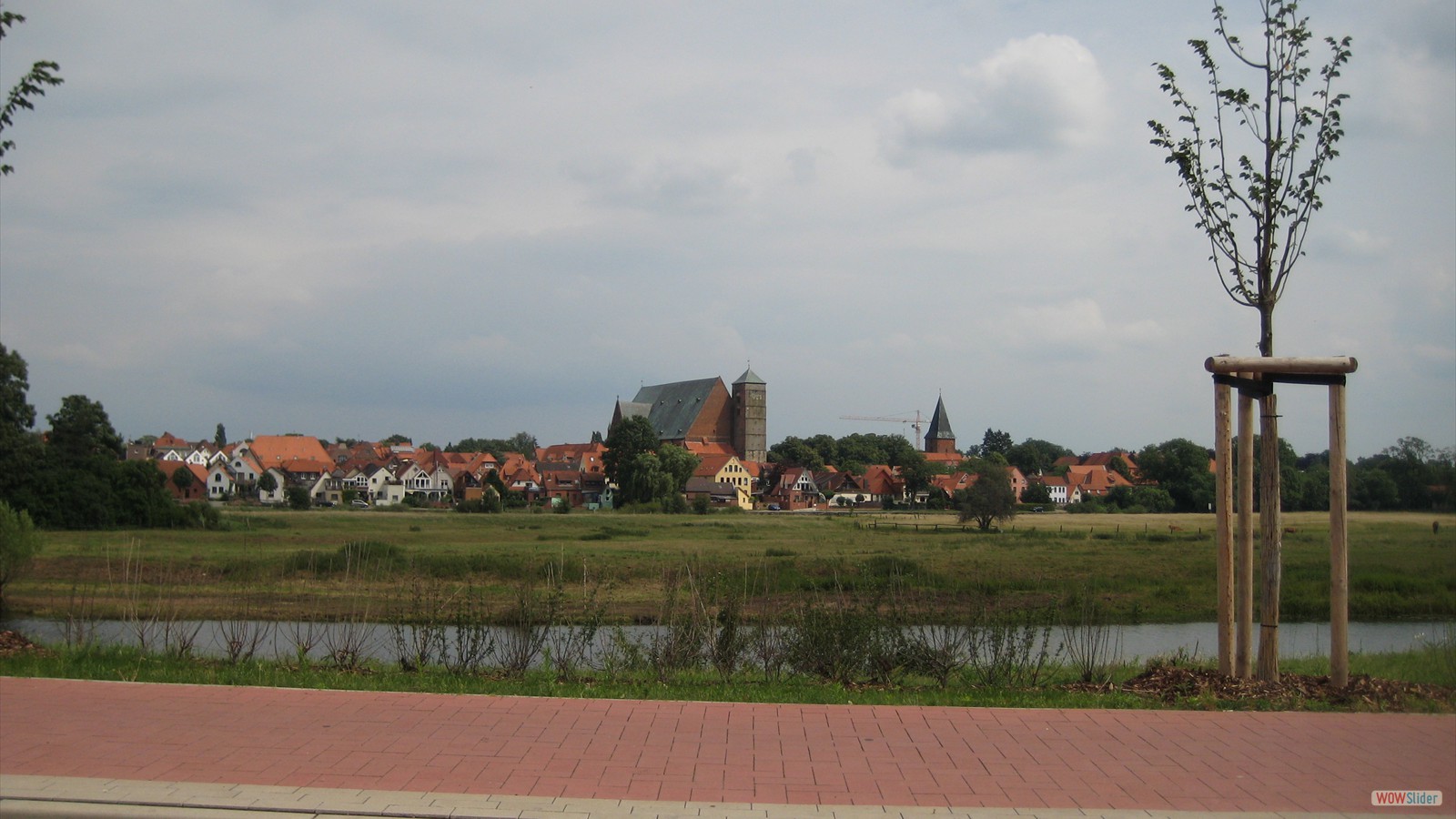 Merlins in Bremen 2011